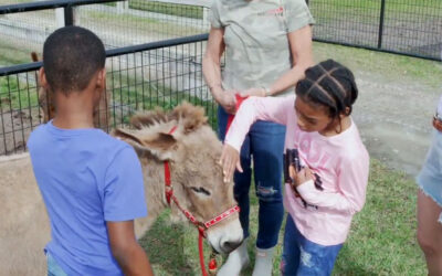 CBS12: Foster kids find love, healing via interactions with rescue animals in Palm Beach