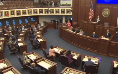 Florida Senate passes bill to fund foster-care pilot program